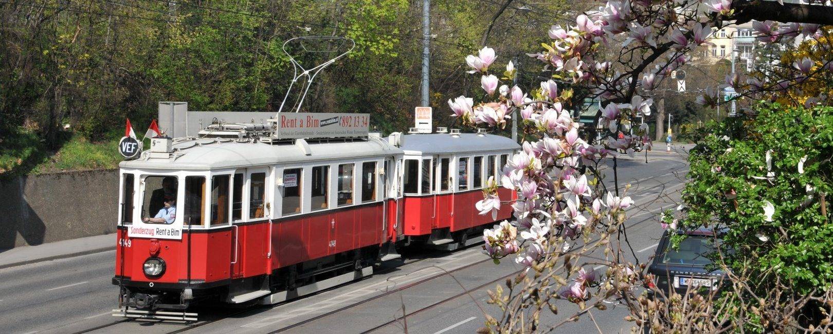 Im Frühling auf dem Weg zur Ringstraße